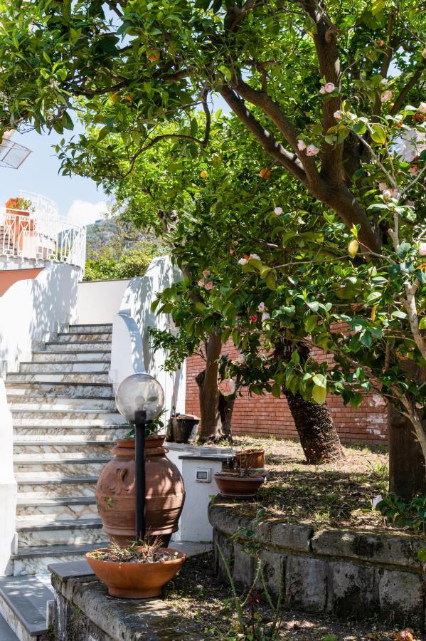 Villa Francesca Relais П'яно-ді-Сорренто Екстер'єр фото